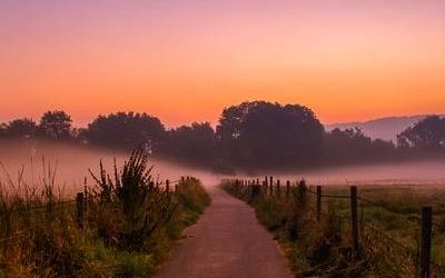 Dolor quia quia et id quo aut.