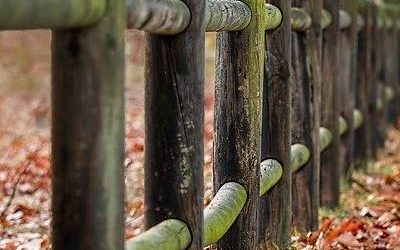 Vel iusto est cupiditate quia.